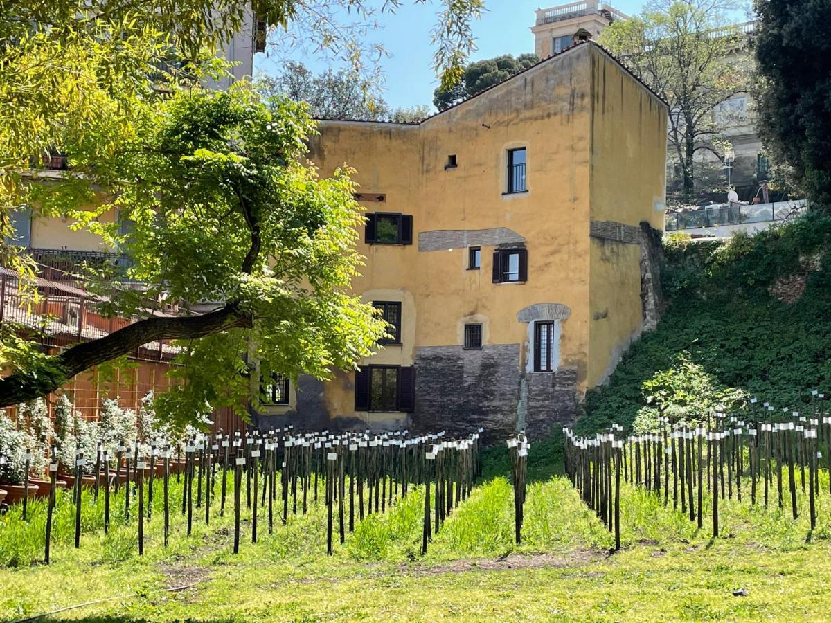 Il Mulino Di Trastevere - My Extra Home Рим Екстериор снимка