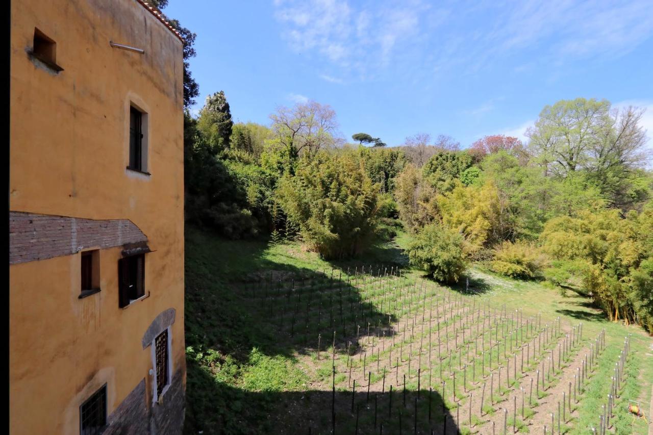 Il Mulino Di Trastevere - My Extra Home Рим Екстериор снимка